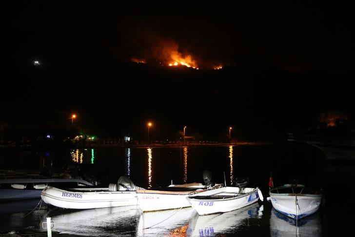 Datça'daki orman yangınına müdahale sürüyor G2
