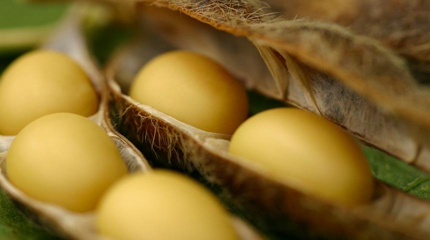 Kanser savaşçısı besinler ve asla ağzınıza sürmemeniz gereken besinler