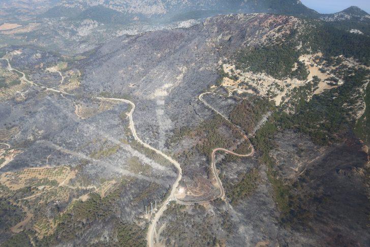 GÜNCELLEME 2 - Datça'daki yangına havadan ve karadan müdahale sürüyor G1