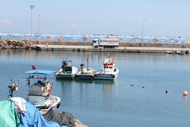 Batı Karadenizli balıkçılar yeni sezonda palamuttan umutlu G2