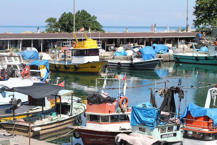 Batı Karadenizli balıkçılar yeni sezonda palamuttan umutlu G3