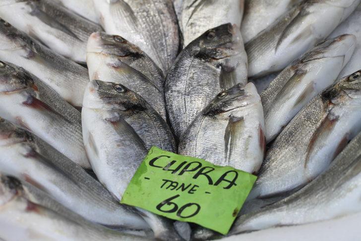 Batı Karadenizli balıkçılar yeni sezonda palamuttan umutlu G5