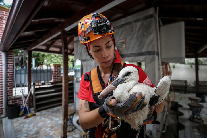 Bursa'da cami kubbesindeki yuvadan düşen leylek yavruları kurtarıldı G2