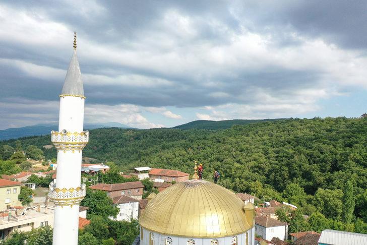 Bursa'da cami kubbesindeki yuvadan düşen leylek yavruları kurtarıldı G5