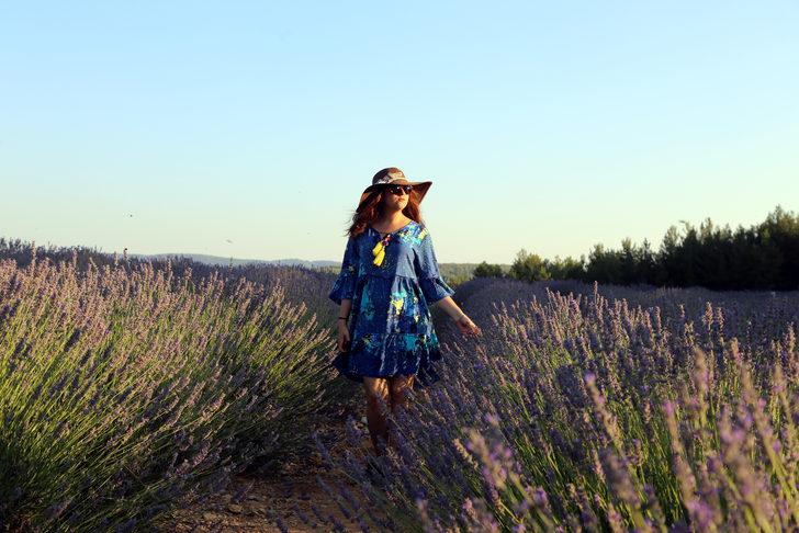 Muğla'nın "mor tarlaları" ziyaretçilerini ağırlıyor G3