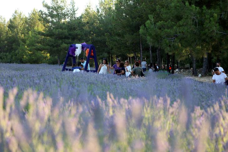 Muğla'nın "mor tarlaları" ziyaretçilerini ağırlıyor G4