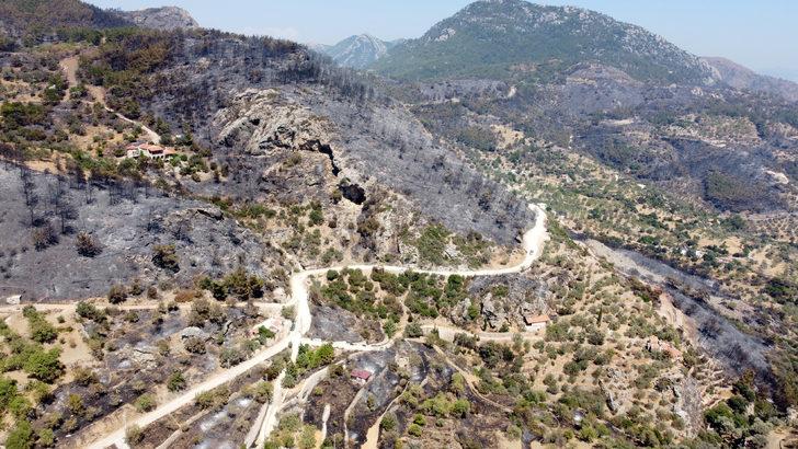 Datça'da yanan orman alanı havadan görüntülendi G4