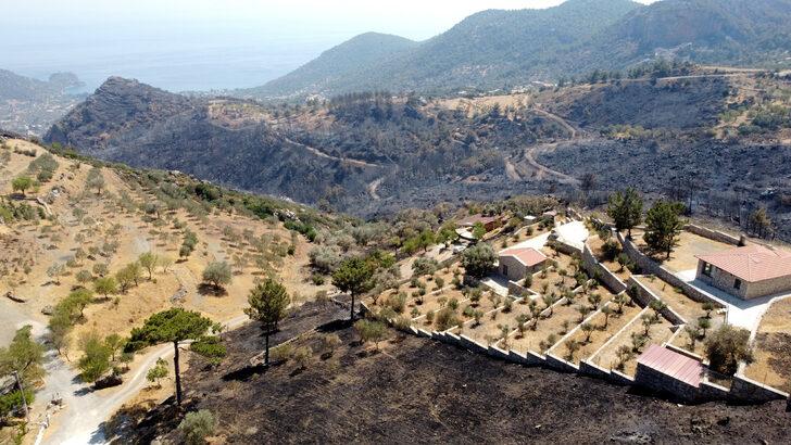 Datça'da yanan orman alanı havadan görüntülendi G5