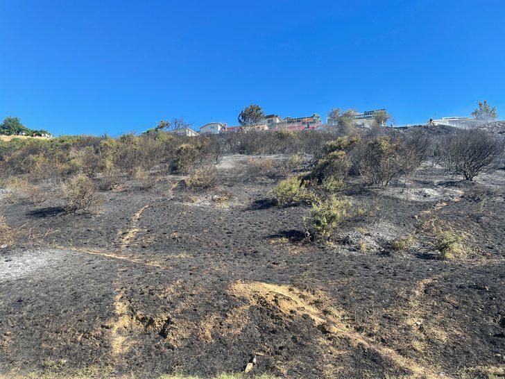 Kartal'da ağaçlık alanda yangın çıktı G2