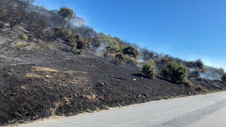 Kartal'da ağaçlık alanda yangın çıktı G3