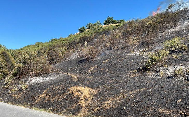 Kartal'da ağaçlık alanda yangın çıktı G4