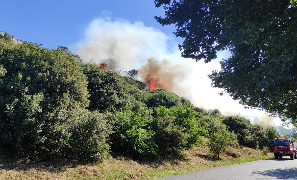 G&Uuml;NCELLEME - Kartal'da ağa&ccedil;lık alanda &ccedil;ıkan yangın s&ouml;nd&uuml;r&uuml;ld&uuml;