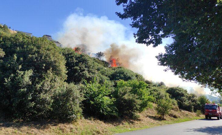 GÜNCELLEME - Kartal'da ağaçlık alanda çıkan yangın söndürüldü G1
