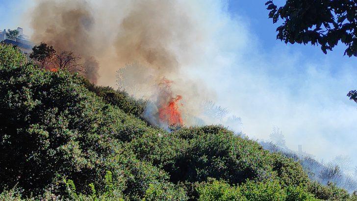 GÜNCELLEME - Kartal'da ağaçlık alanda çıkan yangın söndürüldü G2