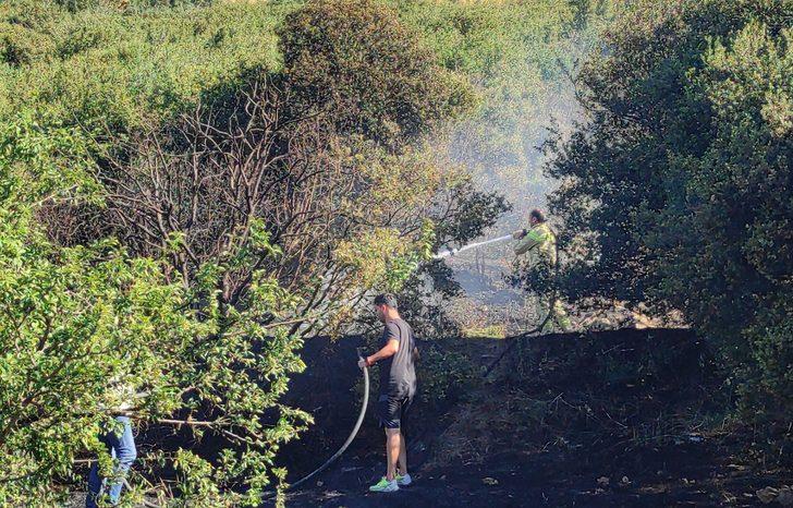 GÜNCELLEME - Kartal'da ağaçlık alanda çıkan yangın söndürüldü G3