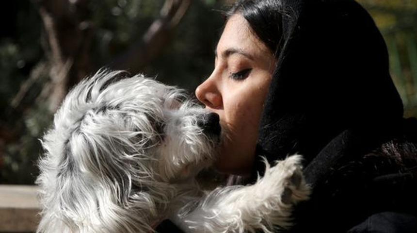 Evcil hayvan sahibi olmak İran'da 'hapse girme nedeni olabilir'