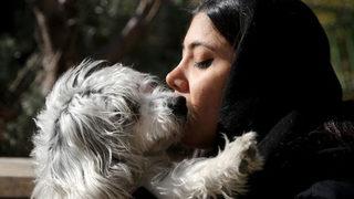 Evcil hayvan sahibi olmak İran'da 'hapse girme nedeni olabilir'