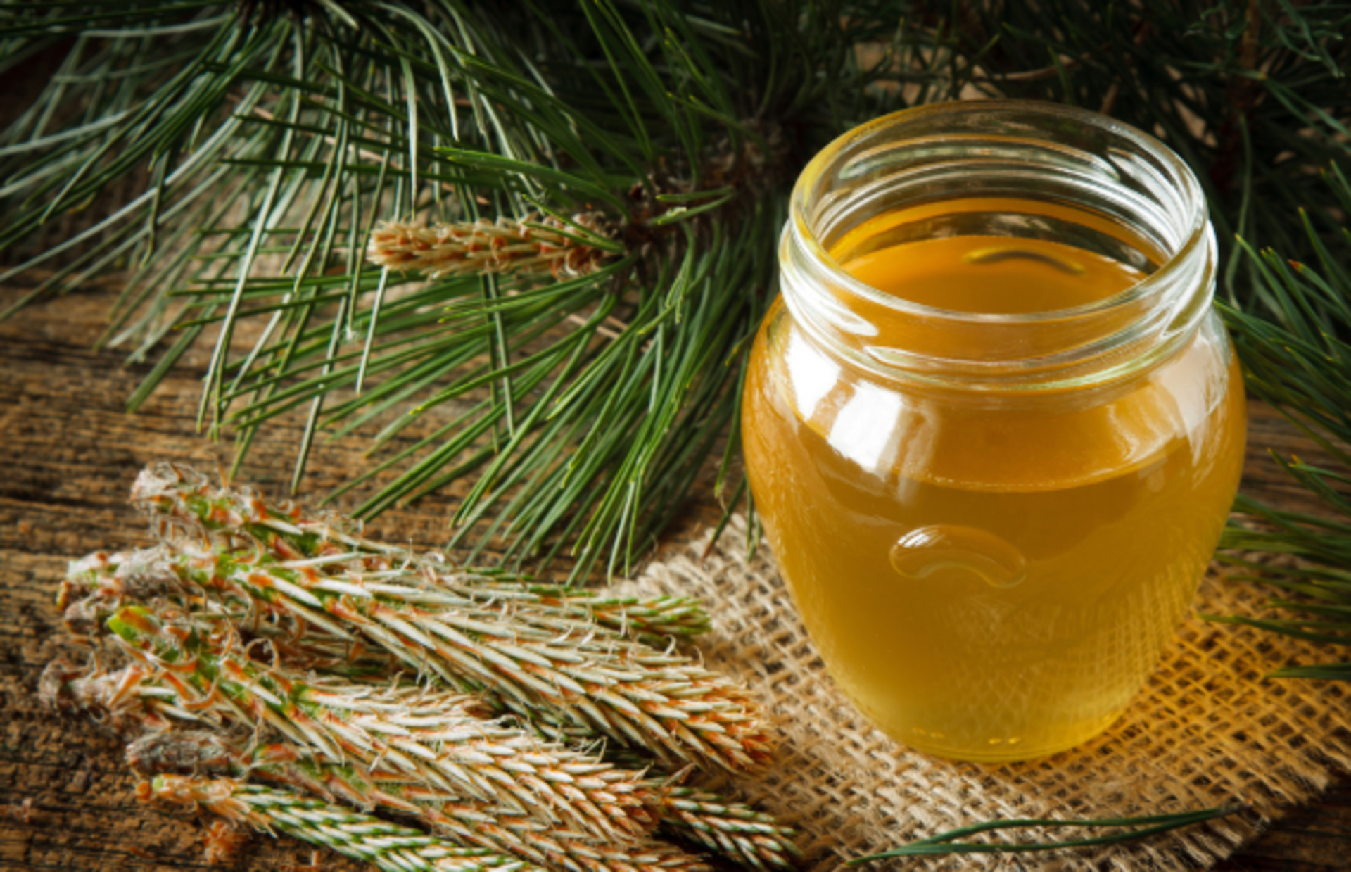 Faydalarını saya saya bitiremeyeceğimiz ilaç gibi bir besin en iyi çam balı markaları