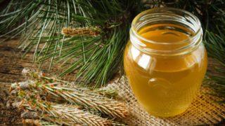 Faydalarını saya saya bitiremeyeceğimiz ilaç gibi bir besin en iyi çam balı markaları