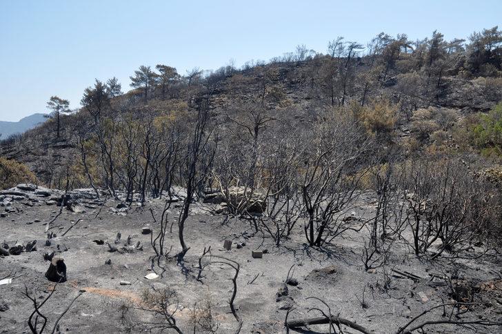 Datça'da yanan ormanlık alanda soğutma çalışmaları sürüyor G3
