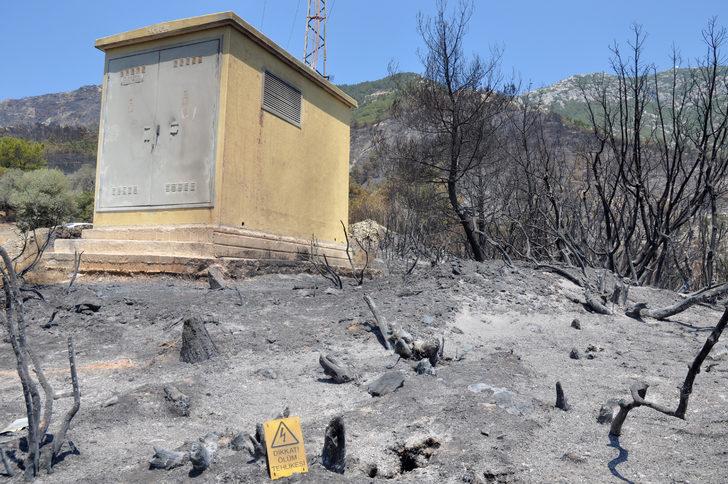 Datça'da yanan ormanlık alanda soğutma çalışmaları sürüyor G4