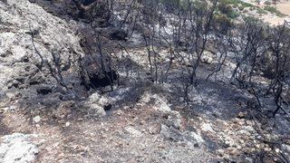 Antalya'da makilik alanda çıkan yangın kontrol altına alındı