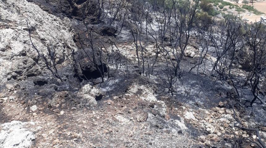 Antalya'da makilik alanda çıkan yangın kontrol altına alındı