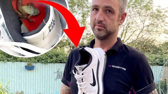 Sosyal medya paylaşımı gülümsetti! “Kocamın ayakları o kadar kötü kokuyor ki içinde bir kurbağa ölüsü buldum”