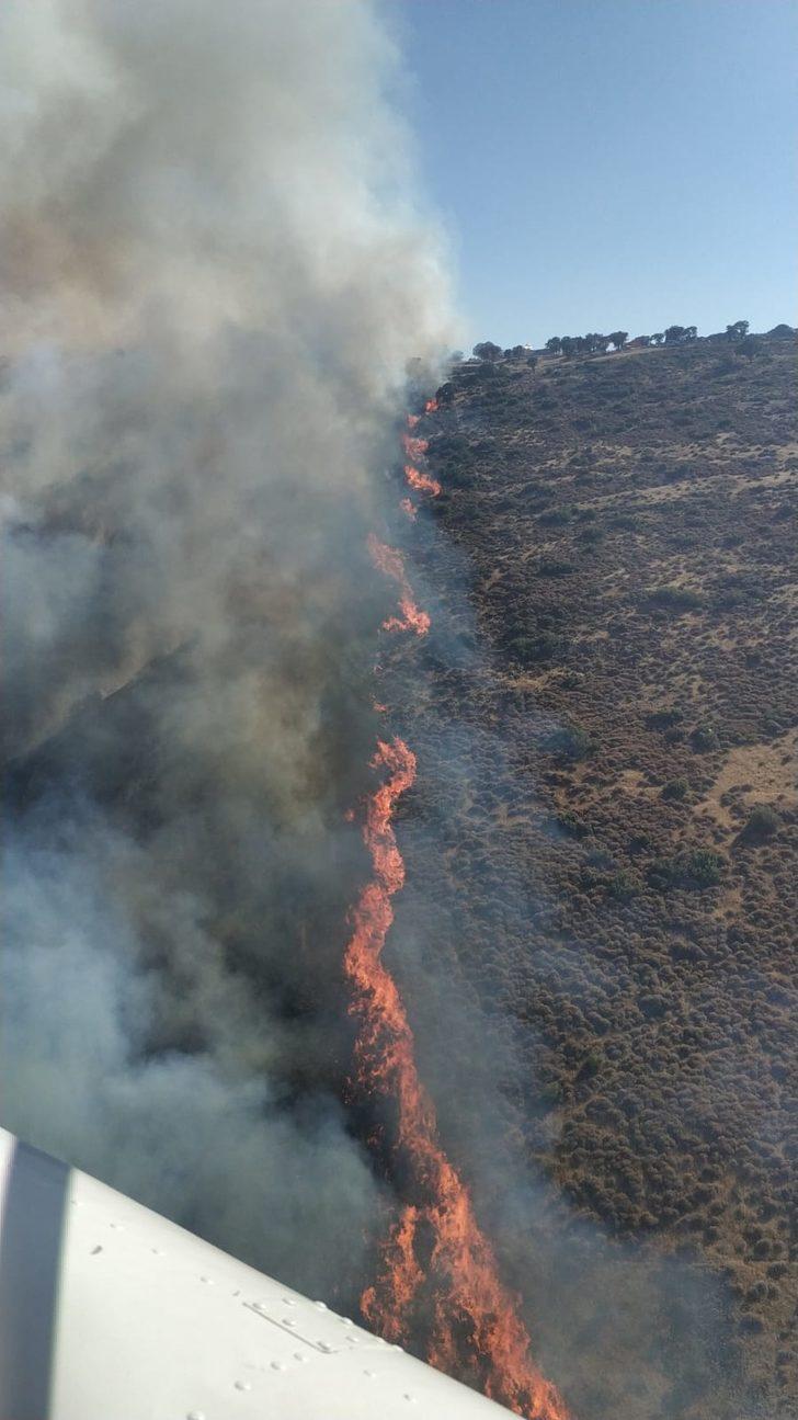 İzmir'de otluk alanda çıkan yangına müdahale ediliyor G3
