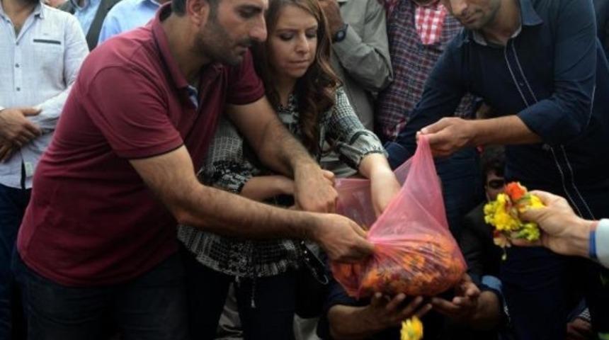 HDP'li vekil teröristin mezarına çiçek koydu