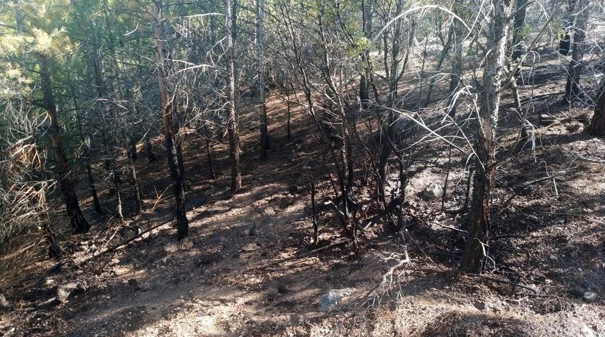 Mersin'de çıkan orman yangını söndürüldü
