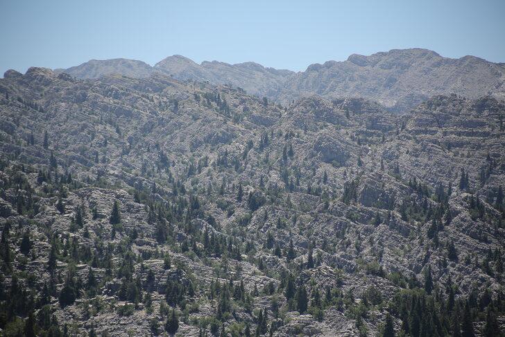 Antalya'da kayıp kadını arama çalışmaları sürüyor G1