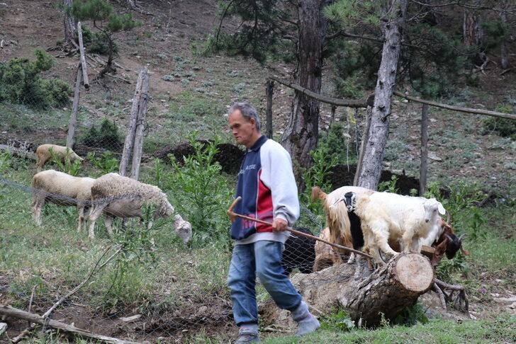 Engelli oğluyla 40 yıldır çobanlık yapıyor G5