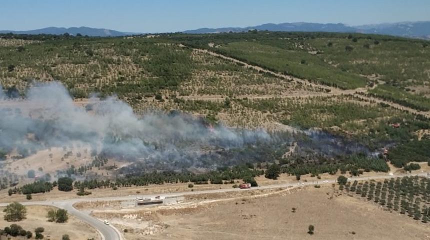 GÜNCELLEME - İzmir'de ağaçlandırma sahasına sıçrayan yangın kontrol altına alındı