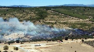 İzmir'de korkutan yangın! Ağaçlandırma sahasına sıçradı