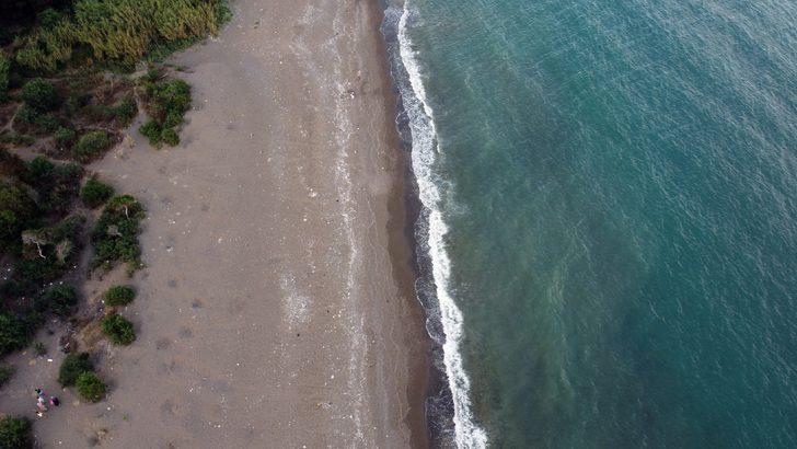 Deniz kaplumbağalarına vatandaşların hassasiyetle yaklaşması uyarısı G4