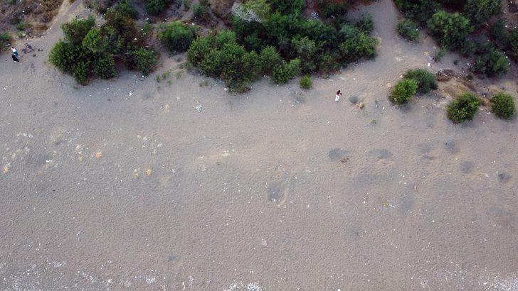 Deniz kaplumbağalarına vatandaşların hassasiyetle yaklaşması uyarısı G5