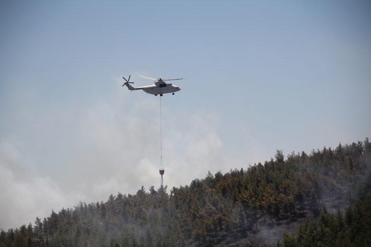 GÜNCELLEME - Hatay'da çıkan örtü yangını kontrol altına alındı G5