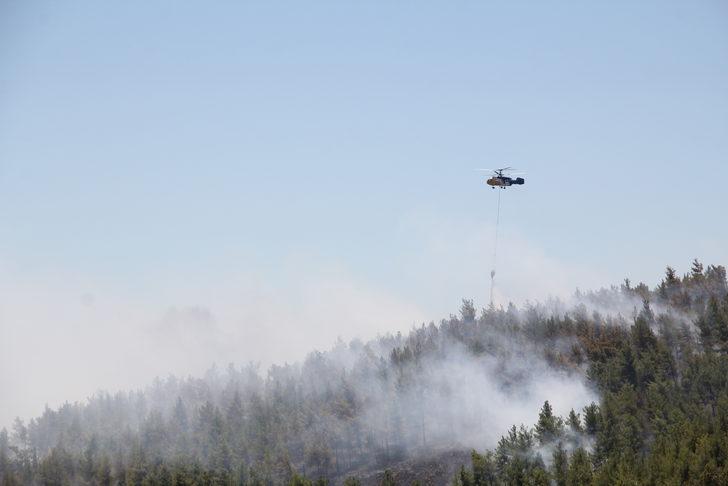 GÜNCELLEME - Hatay'da çıkan örtü yangını kontrol altına alındı G3