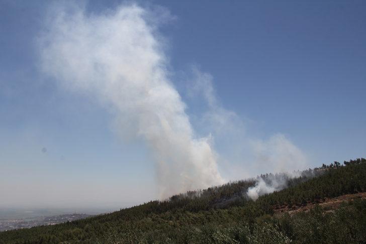 GÜNCELLEME - Hatay'da çıkan örtü yangını kontrol altına alındı G2