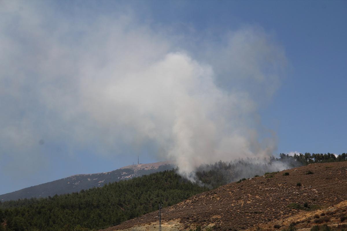 G&Uuml;NCELLEME - Hatay'da &ccedil;ıkan &ouml;rt&uuml; yangını kontrol altına alındı