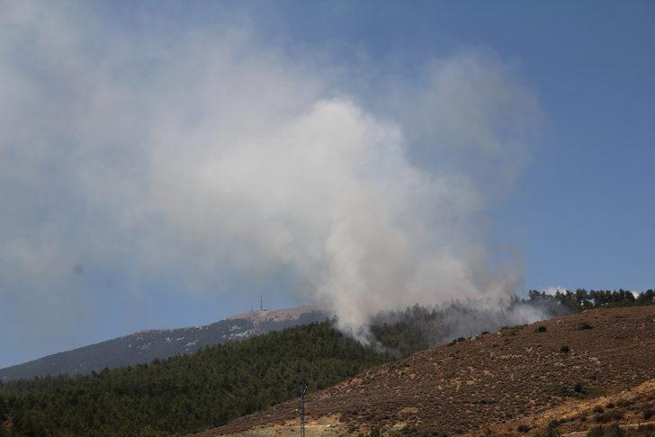GÜNCELLEME - Hatay'da çıkan örtü yangını kontrol altına alındı G1