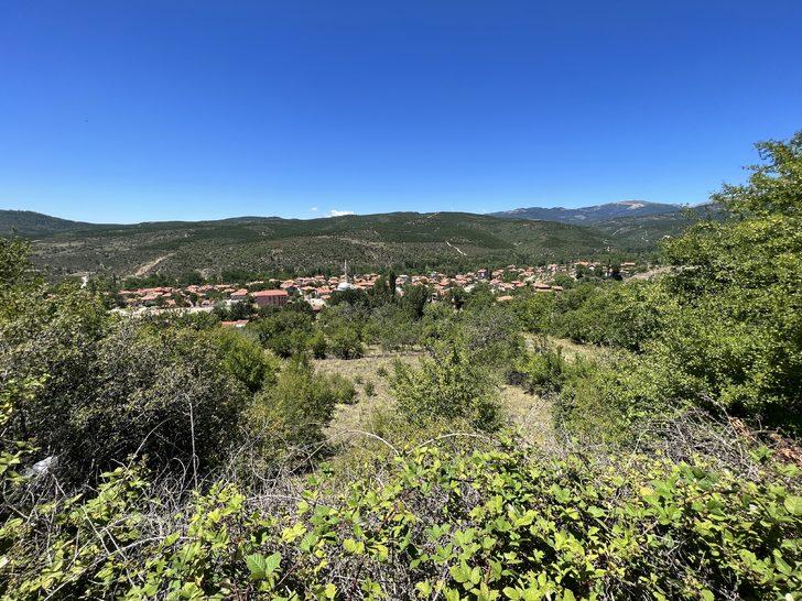 Kütahya'da ayı saldırısına uğrayan çoban yaralandı G3