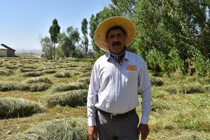 Yüksekova'da tarım arazilerinde çekirge yoğunluğu yaşanıyor G5