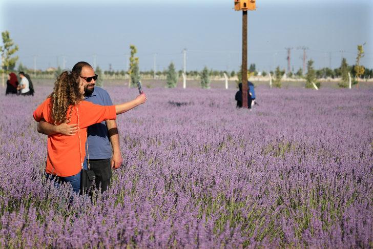 Konya'da "lavanta günleri" etkinliği başladı G2