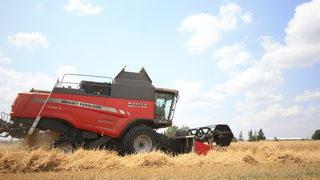 Trakya çiftçisi hasat mesaisinde sona yaklaştı