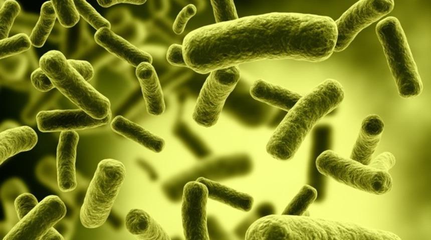 Yaşam iksiri bulundu mu?