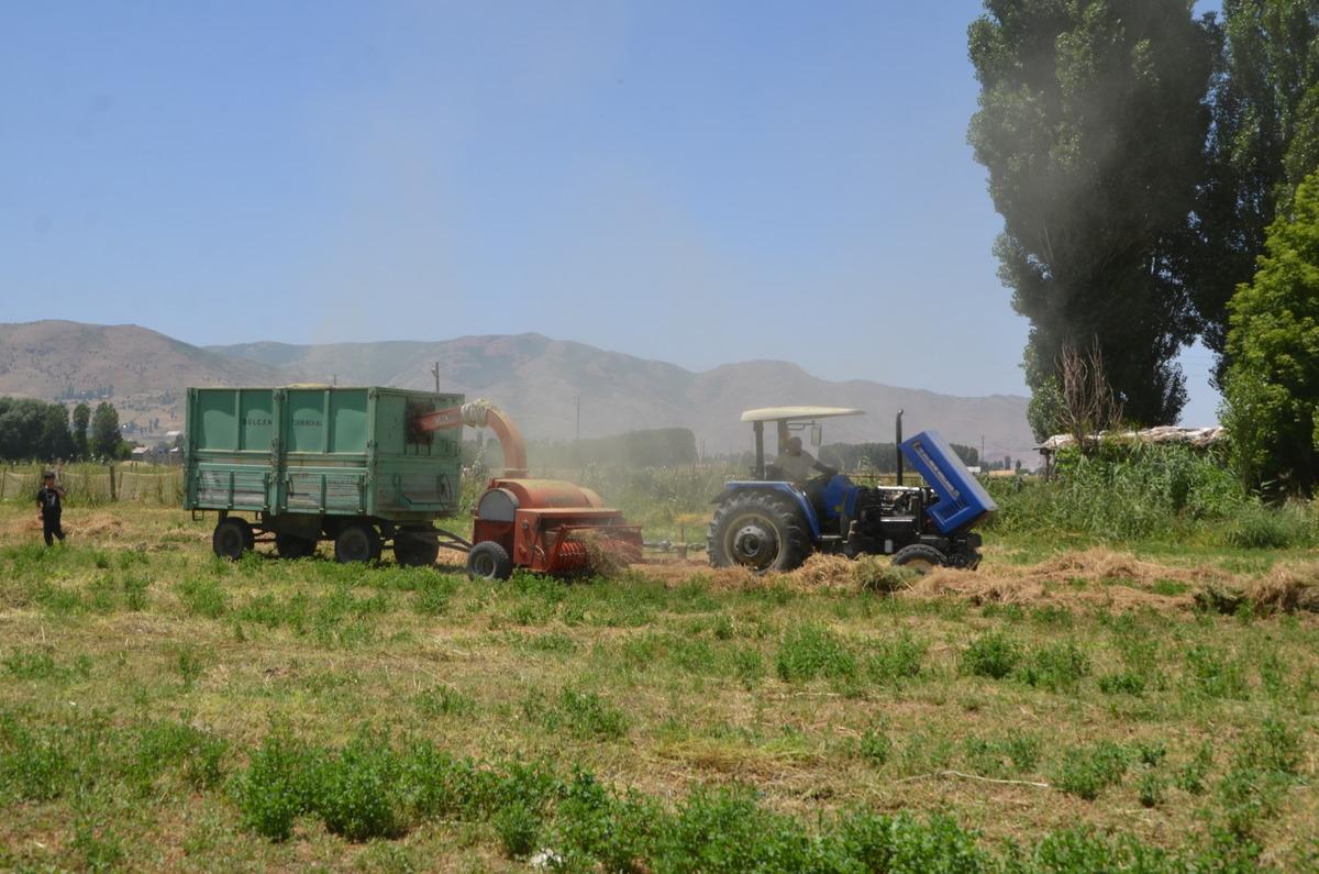 Muş'ta &ccedil;ift&ccedil;iler hayvanları i&ccedil;in kışlık yem mesaisine başladı