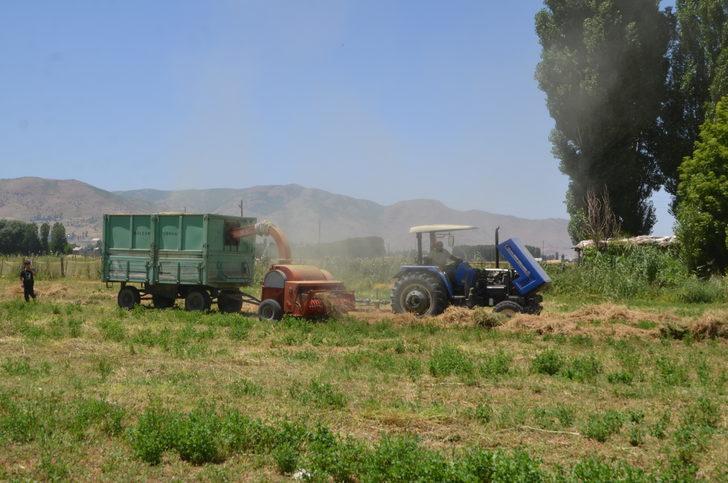 Muş'ta çiftçiler hayvanları için kışlık yem mesaisine başladı G1