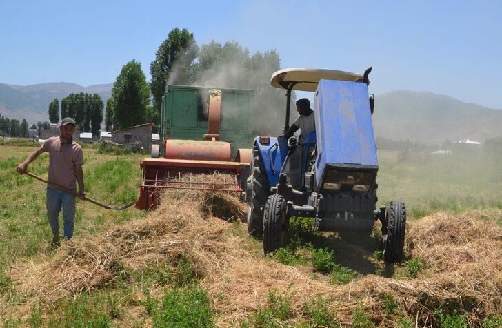 Muş'ta çiftçiler hayvanları için kışlık yem mesaisine başladı G2